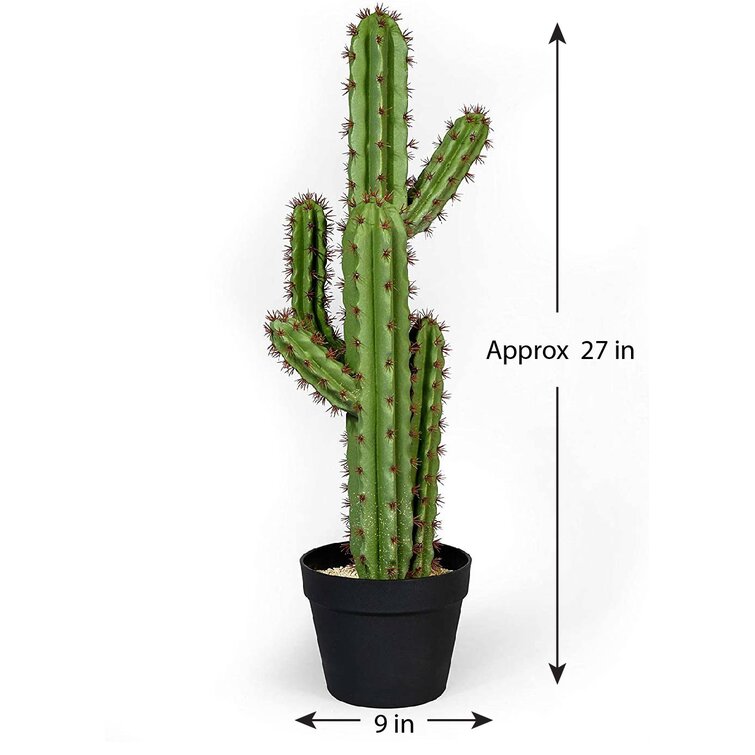 Fake cactus deals plant